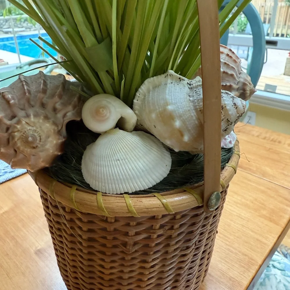 Decorative Basket with Green Grass and Shells